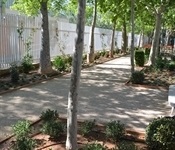 Renovació i ordenació de la jardineria i la il·luminació Av. Generalitat Valenciana