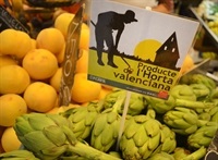 producte_horta_valenciana_02