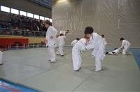 Judo