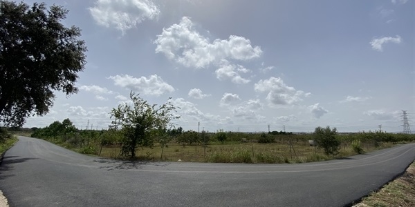 En marxa les obres per a la transformació del camí rural a Alaquàs en via preferent per a vianants i ciclistes