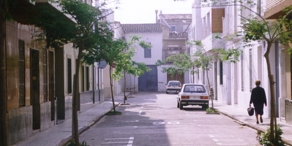 Plantació d'arbres als carrers