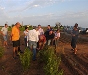 El pioner de l'agricultura ecològica valenciana visita Picanya